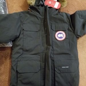 Canada goose